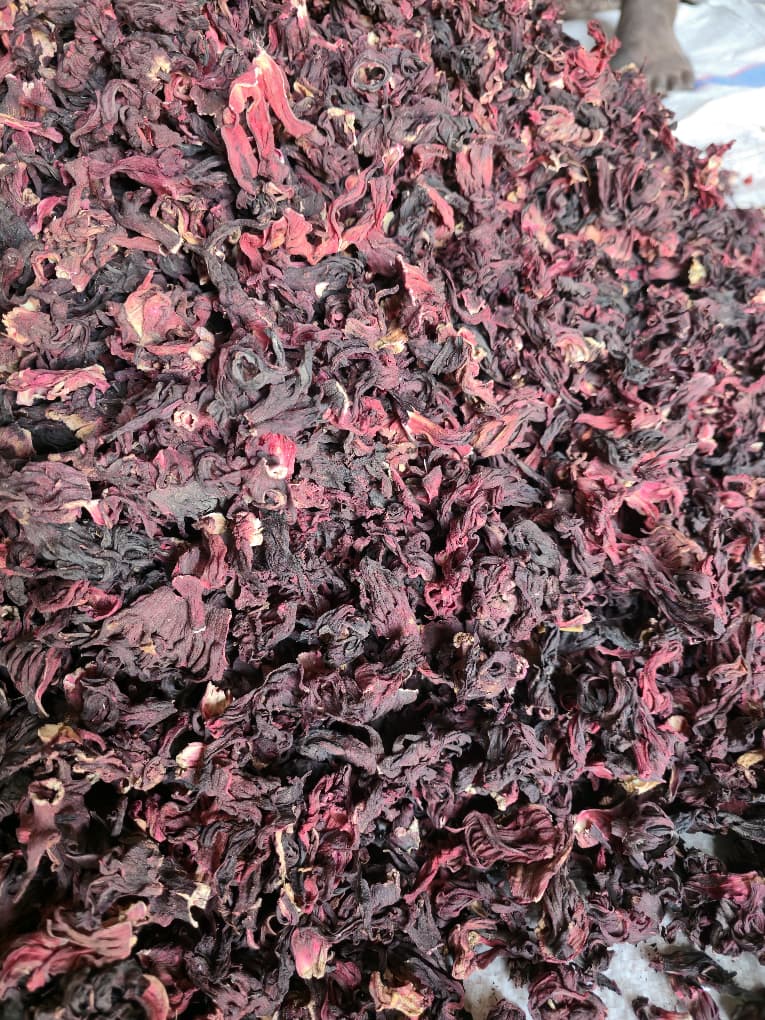 Hibiscus leaves